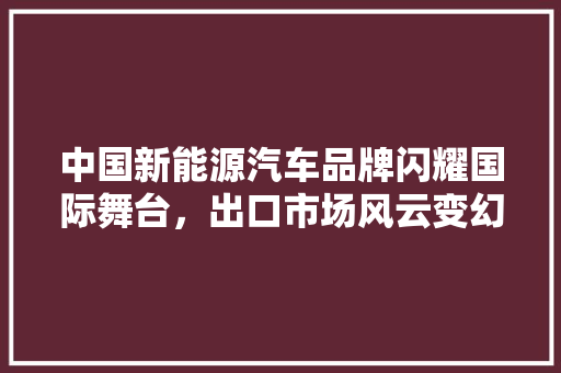 中国新能源汽车品牌闪耀国际舞台，出口市场风云变幻  第1张