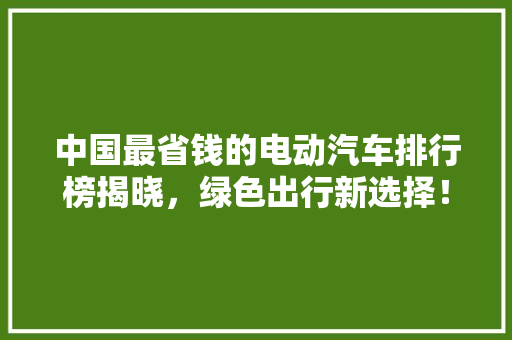 中国最省钱的电动汽车排行榜揭晓，绿色出行新选择！  第1张