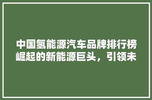 中国氢能源汽车品牌排行榜崛起的新能源巨头，引领未来出行新风尚  第1张