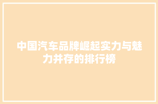 中国汽车品牌崛起实力与魅力并存的排行榜  第1张