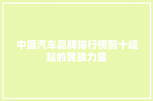 中国汽车品牌排行榜前十崛起的民族力量  第1张