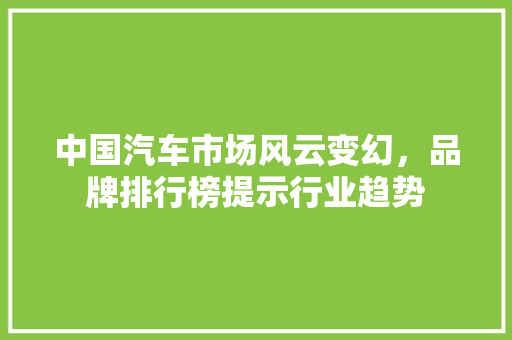 中国汽车市场风云变幻，品牌排行榜提示行业趋势  第1张