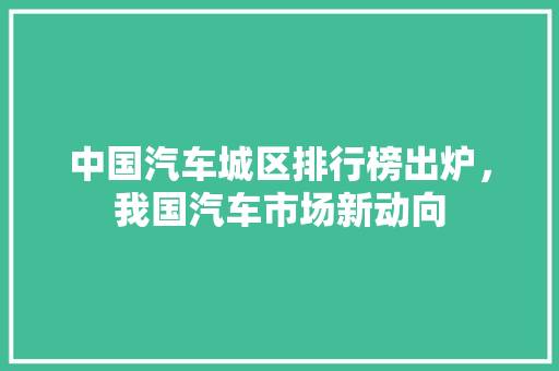 中国汽车城区排行榜出炉，我国汽车市场新动向  第1张