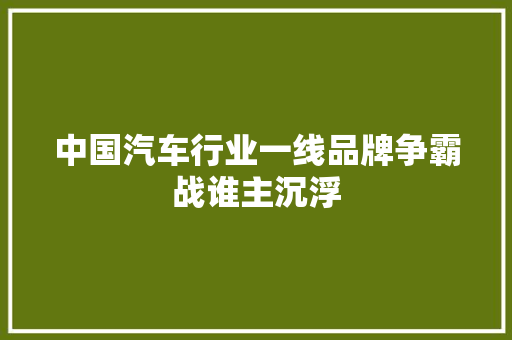 中国汽车行业一线品牌争霸战谁主沉浮  第1张