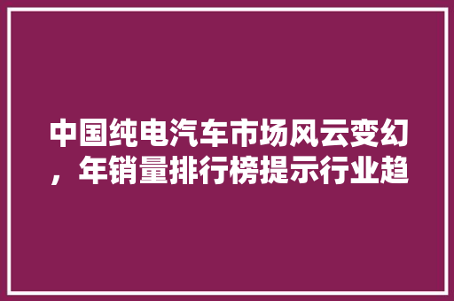 中国纯电汽车市场风云变幻，年销量排行榜提示行业趋势  第1张