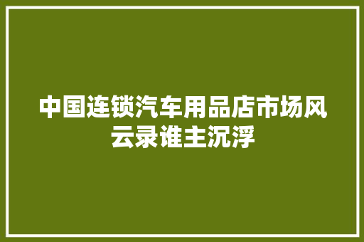 中国连锁汽车用品店市场风云录谁主沉浮  第1张