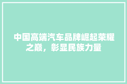 中国高端汽车品牌崛起荣耀之巅，彰显民族力量  第1张