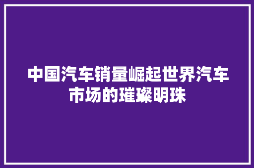 中国汽车销量崛起世界汽车市场的璀璨明珠