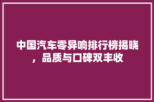中国汽车零异响排行榜揭晓，品质与口碑双丰收  第1张