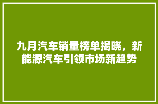 九月汽车销量榜单揭晓，新能源汽车引领市场新趋势  第1张