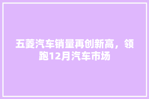 五菱汽车销量再创新高，领跑12月汽车市场