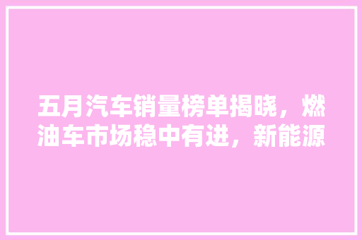五月汽车销量榜单揭晓，燃油车市场稳中有进，新能源汽车崛起  第1张