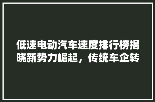 低速电动汽车速度排行榜揭晓新势力崛起，传统车企转型