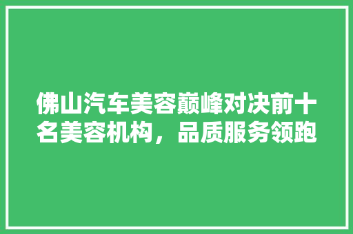 佛山汽车美容巅峰对决前十名美容机构，品质服务领跑行业