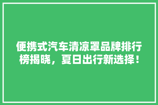 便携式汽车清凉罩品牌排行榜揭晓，夏日出行新选择！  第1张