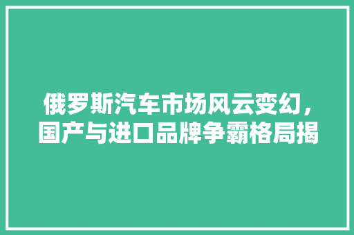 俄罗斯汽车市场风云变幻，国产与进口品牌争霸格局揭晓  第1张