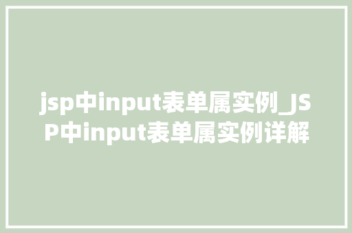 jsp中input表单属实例_JSP中input表单属实例详解从入门到精通