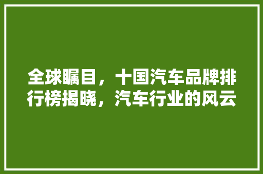 全球瞩目，十国汽车品牌排行榜揭晓，汽车行业的风云变幻  第1张