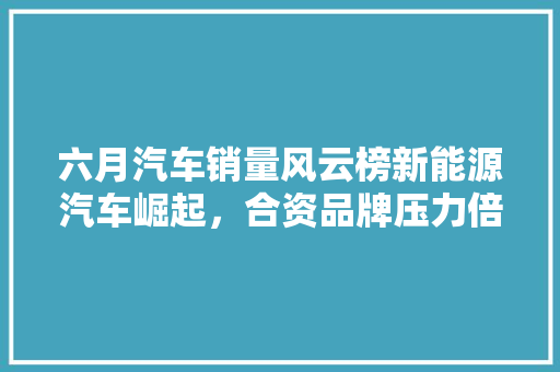 六月汽车销量风云榜新能源汽车崛起，合资品牌压力倍增