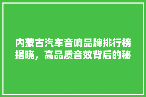 内蒙古汽车音响品牌排行榜揭晓，高品质音效背后的秘密  第1张