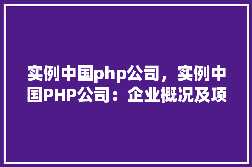 实例中国php公司，实例中国PHP公司：企业概况及项目例子一览表