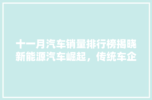 十一月汽车销量排行榜揭晓新能源汽车崛起，传统车企面临挑战  第1张