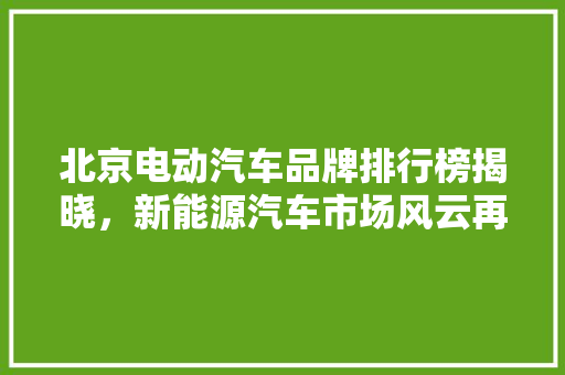 北京电动汽车品牌排行榜揭晓，新能源汽车市场风云再起