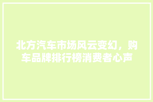 北方汽车市场风云变幻，购车品牌排行榜消费者心声
