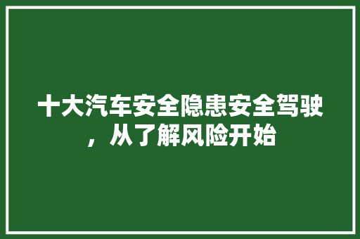 十大汽车安全隐患安全驾驶，从了解风险开始  第1张