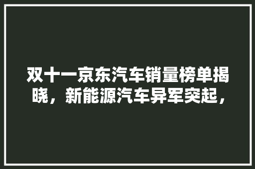 双十一京东汽车销量榜单揭晓，新能源汽车异军突起，市场格局再升级