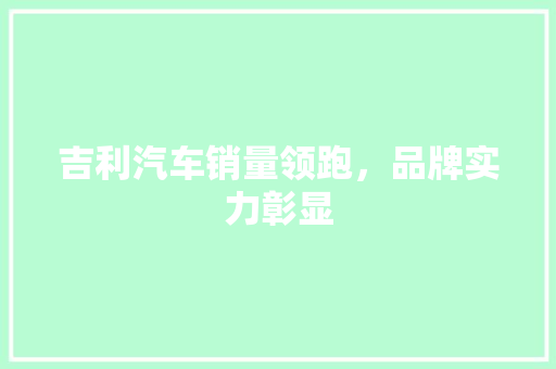 吉利汽车销量领跑，品牌实力彰显