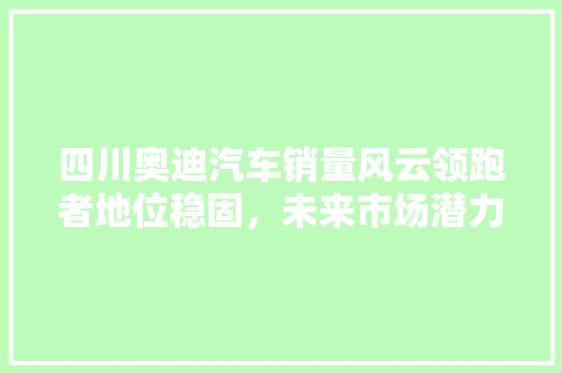 四川奥迪汽车销量风云领跑者地位稳固，未来市场潜力巨大  第1张