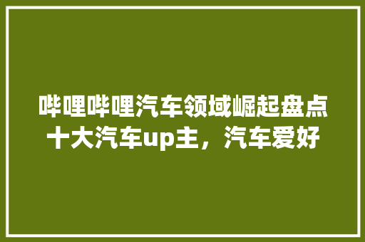 哔哩哔哩汽车领域崛起盘点十大汽车up主，汽车爱好者的新阵地  第1张
