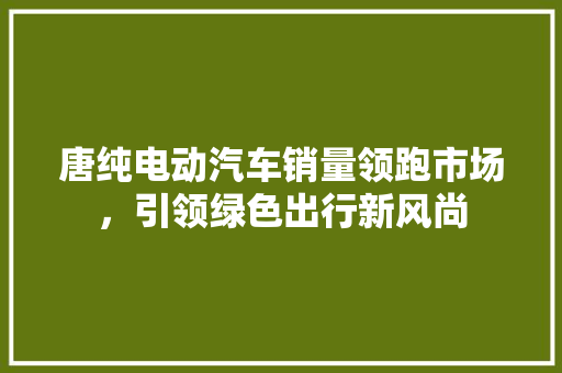 唐纯电动汽车销量领跑市场，引领绿色出行新风尚  第1张