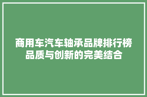 商用车汽车轴承品牌排行榜品质与创新的完美结合