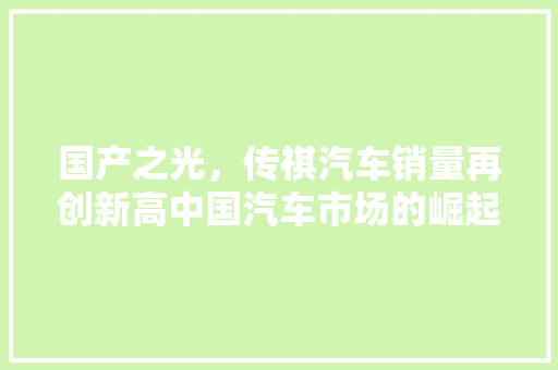 国产之光，传祺汽车销量再创新高中国汽车市场的崛起之路