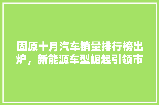 固原十月汽车销量排行榜出炉，新能源车型崛起引领市场新潮流  第1张