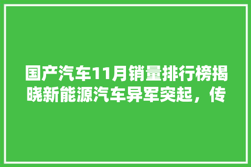 国产汽车11月销量排行榜揭晓新能源汽车异军突起，传统车企稳扎稳打  第1张