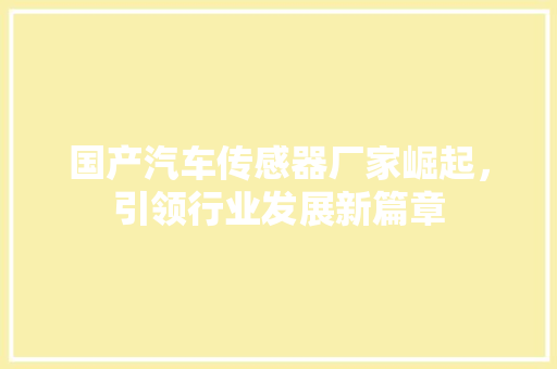 国产汽车传感器厂家崛起，引领行业发展新篇章  第1张