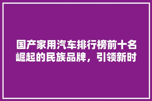 国产家用汽车排行榜前十名崛起的民族品牌，引领新时代潮流