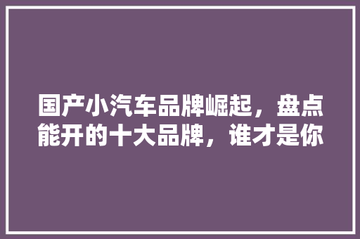 国产小汽车品牌崛起，盘点能开的十大品牌，谁才是你的心头好