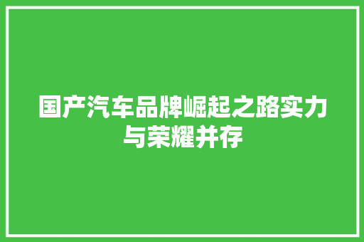 国产汽车品牌崛起之路实力与荣耀并存  第1张