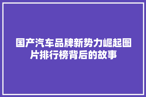 国产汽车品牌新势力崛起图片排行榜背后的故事