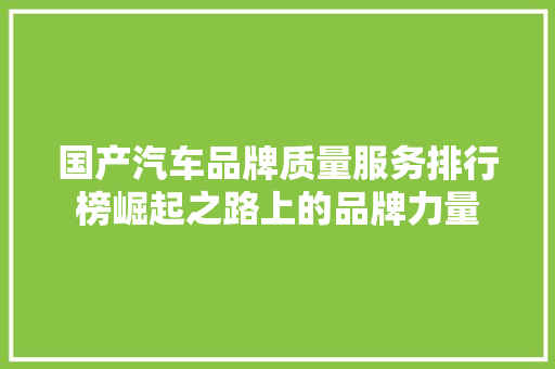 国产汽车品牌质量服务排行榜崛起之路上的品牌力量