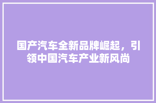 国产汽车全新品牌崛起，引领中国汽车产业新风尚