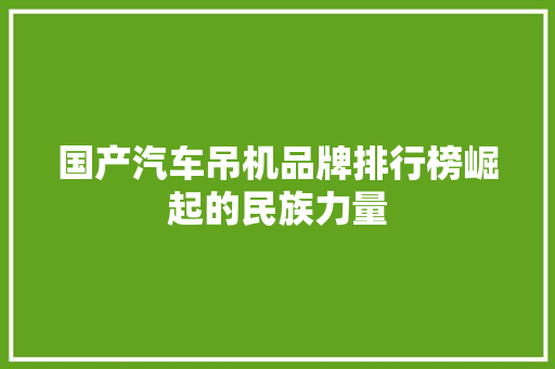 国产汽车吊机品牌排行榜崛起的民族力量  第1张