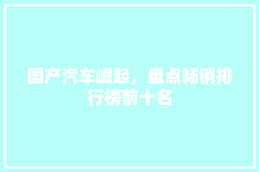 国产汽车崛起，盘点畅销排行榜前十名  第1张
