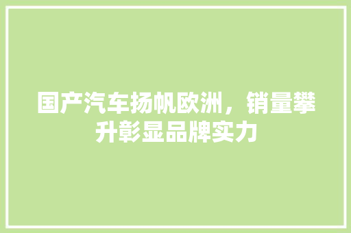 国产汽车扬帆欧洲，销量攀升彰显品牌实力
