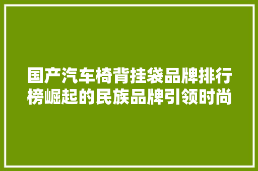 国产汽车椅背挂袋品牌排行榜崛起的民族品牌引领时尚潮流  第1张