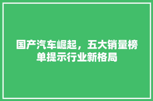 国产汽车崛起，五大销量榜单提示行业新格局  第1张